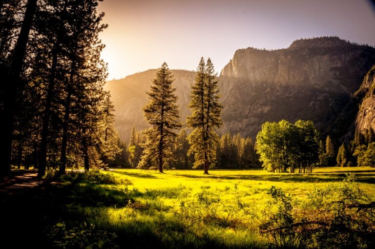 Sustainable Serenity: Cultivating a Greener World Sustainable Serenity: Cultivating a Greener World